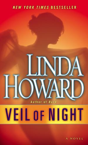Cover of the book Veil of Night by Judith Krantz