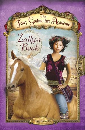 Book cover of The Fairy Godmother Academy #3: Zally's Book