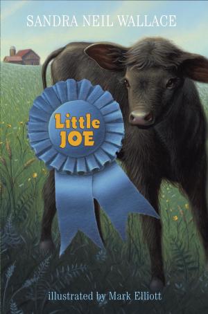 Cover of the book Little Joe by The Princeton Review