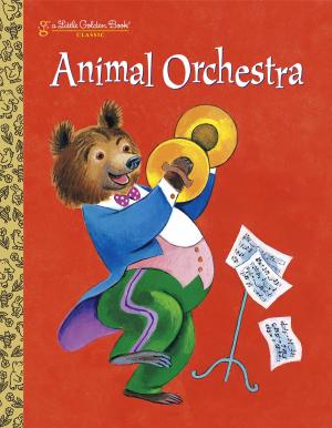Cover of the book Animal Orchestra by Judy Blume