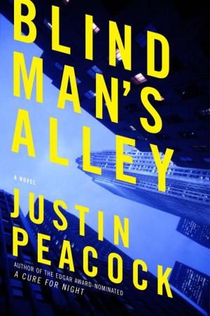 bigCover of the book Blind Man's Alley by 