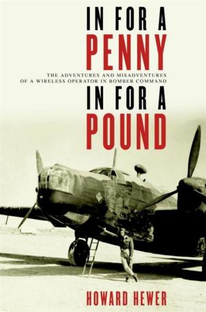 Cover of the book In For a Penny, In For a Pound by David Day
