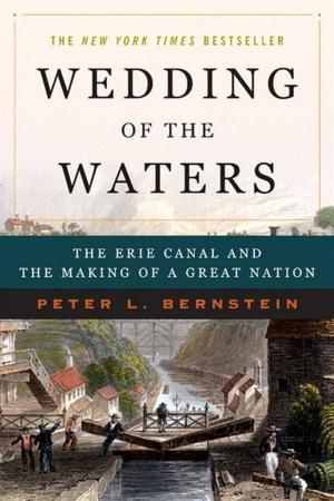 Cover of the book Wedding of the Waters: The Erie Canal and the Making of a Great Nation by Jenny Bass