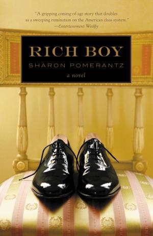 bigCover of the book Rich Boy by 