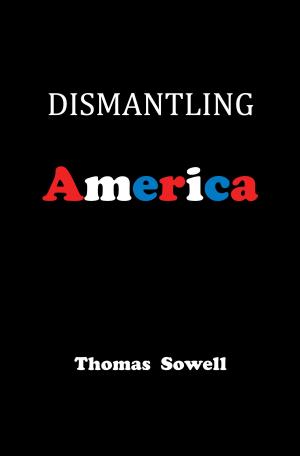 bigCover of the book Dismantling America by 