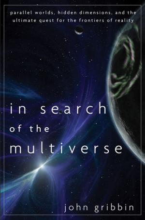 Cover of the book In Search of the Multiverse by 