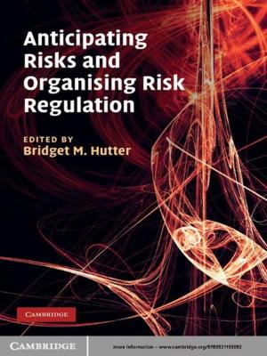 Cover of the book Anticipating Risks and Organising Risk Regulation by David Muir Wood