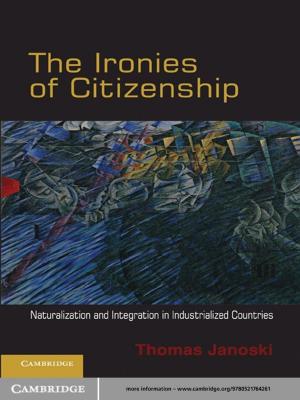 Cover of the book The Ironies of Citizenship by David Norton