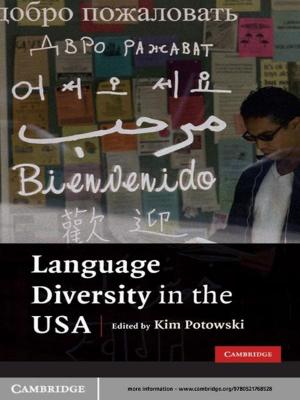 Cover of the book Language Diversity in the USA by Melissa Schwartzberg