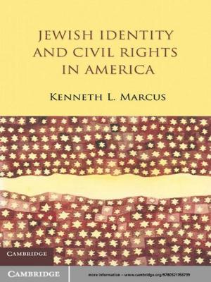 Book cover of Jewish Identity and Civil Rights in America