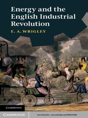 Cover of the book Energy and the English Industrial Revolution by Egbert J. Bakker