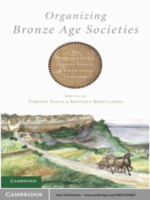 Cover of the book Organizing Bronze Age Societies by J. H. van Lint, R. M. Wilson