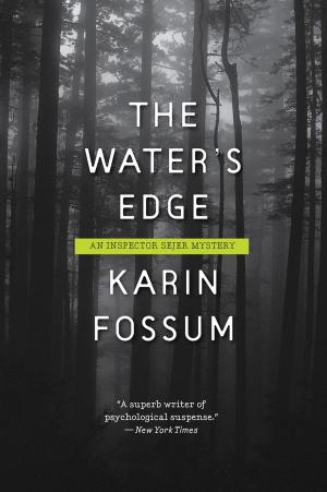 bigCover of the book The Water's Edge by 