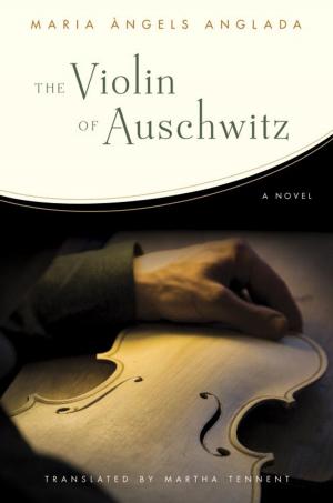 Cover of the book The Violin of Auschwitz by James A. Michener