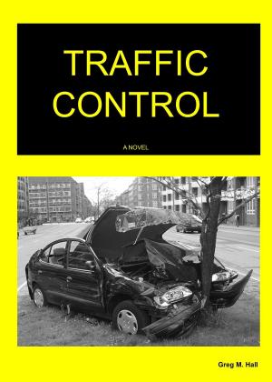 bigCover of the book Traffic Control by 