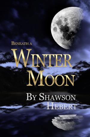 Cover of the book Beneath a Winter Moon by Andrew Day