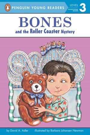 Cover of the book Bones and the Roller Coaster Mystery by Keiko Kasza