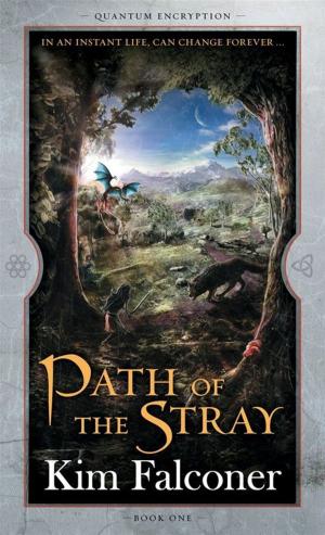 Cover of the book Path of the Stray by Craig Nybo