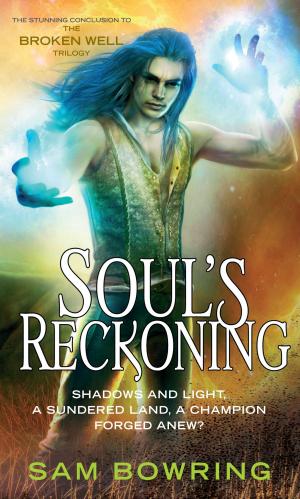Cover of the book Soul's Reckoning by BJ Hobbsen