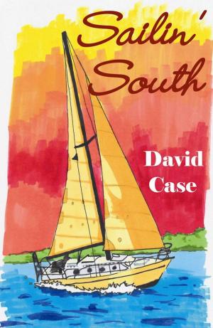 Cover of the book Sailin' South by Richard Morgan