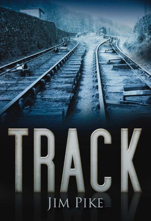 Cover of the book Track by John Sadler, Rosie Serdville