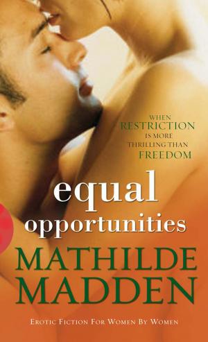 Cover of the book Equal Opportunities by TJ Higgs