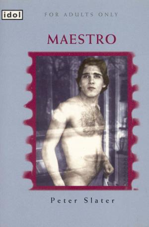 Cover of the book Maestro by Aran Ashe