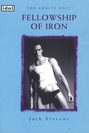 Cover of the book Fellowship of Iron by Yolanda Celbridge