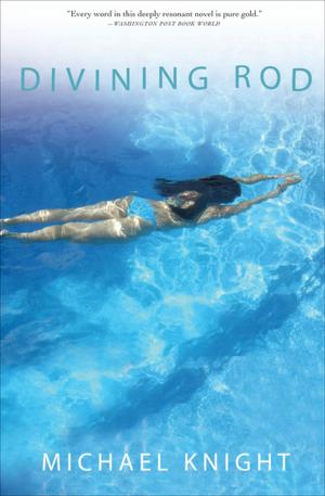 Cover of the book Divining Rod by Robert Goddard