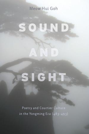 Cover of the book Sound and Sight by Joseph Margolis