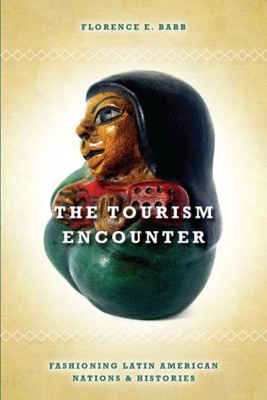 Cover of the book The Tourism Encounter by Freddie Rokem