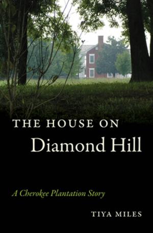 Book cover of The House on Diamond Hill