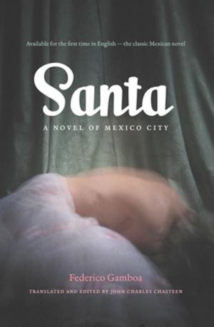 Cover of the book Santa by Gaele Vaillard