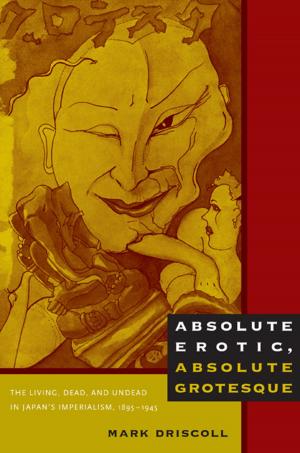 Cover of the book Absolute Erotic, Absolute Grotesque by Louisa Schein