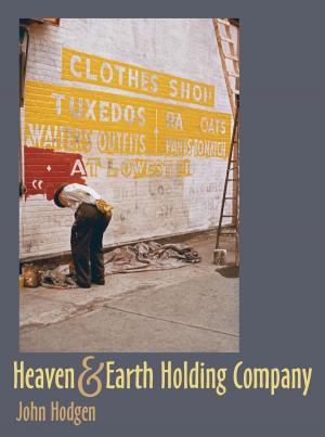 Cover of the book Heaven & Earth Holding Company by Zeynep Kezer