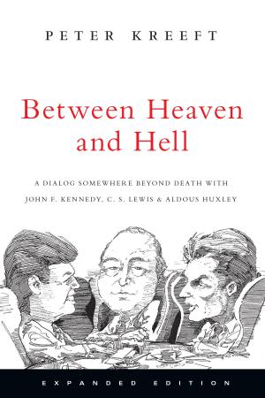 Cover of the book Between Heaven and Hell by Brian Godawa