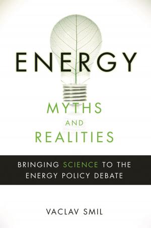 Book cover of Energy Myths and Realities