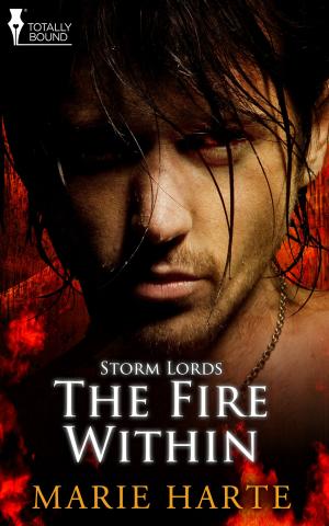 Cover of the book The Fire Within by Angela Kay Austin