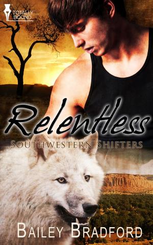 Cover of the book Relentless by Ashley Ladd