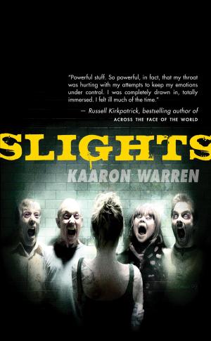 Cover of the book Slights by Jonathan Margolis