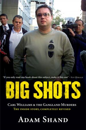 Cover of the book Big Shots by Felice Arena, Garry Lyon