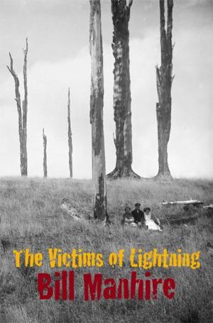 Cover of the book The Victims of Lightning by Barbara Anderson