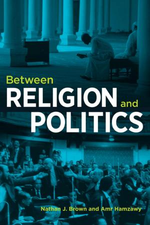 Cover of the book Between Religion and Politics by Elizabeth Kneebone, Alan Berube