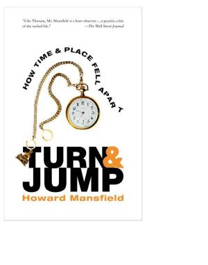Cover of the book Turn and Jump by Aislinn Sarnacki