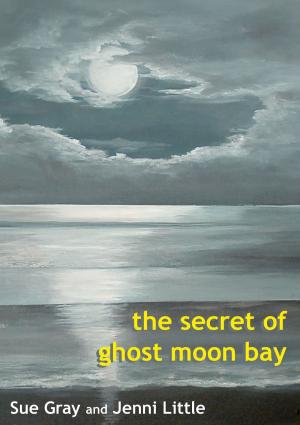 bigCover of the book The Secret of Ghost Moon Bay by 