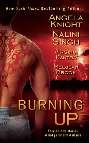 Book cover of Burning Up