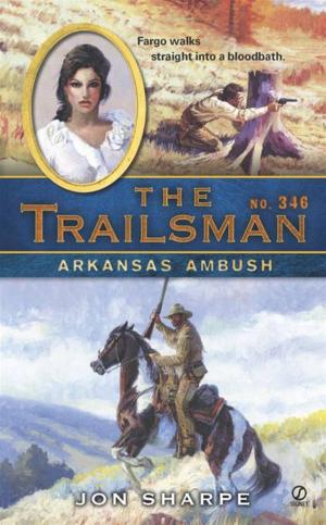 Cover of the book The Trailsman #346 by John Pollack