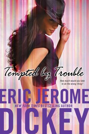 Cover of the book Tempted by Trouble by Iris Krasnow
