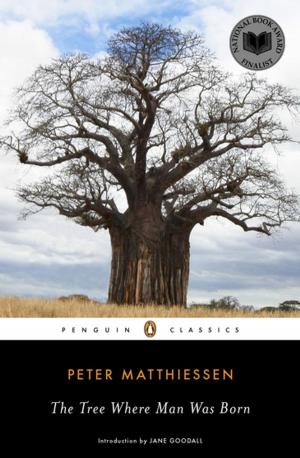 Cover of the book The Tree Where Man Was Born by Alyson Richman