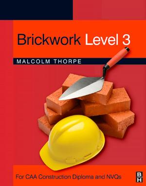 Cover of the book Brickwork Level 3 by Clarence W. de Silva